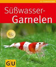 Süßwasser-Garnelen