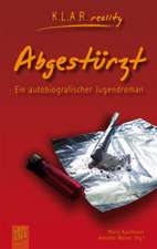 Abgestürzt. Ein autobiografischer Jugendroman