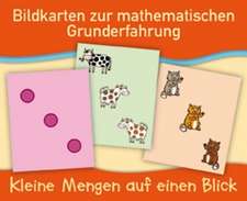 Bildkarten zur mathematischen Grunderfahrung: Kleine Mengen auf einen Blick