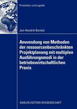 Anwendung von Methoden der ressourcenbeschränkten Projektplanung mit multiplen Ausführungsmodi in der betriebswirtschaftlichen Praxis