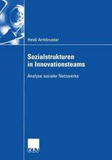 Sozialstrukturen in Innovationsteams: Analyse sozialer Netzwerke