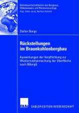 Rückstellungen im Braunkohlenbergbau: Auswirkungen der Verpflichtung zur Wiedernutzbarmachung der Oberfläche nach BBergG