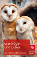 Greifvögel und Eulen