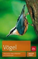 Vögel