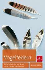 Vogelfedern