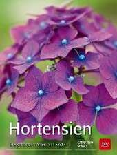 Hortensien