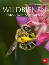 Wildbienen entdecken & schützen