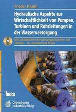 Hydraulische Aspekte zur Wirtschaftlichkeit von Pumpen, Turbinen und Rohrleitungen in der Wasserversorgung