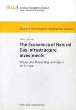 The Economics of Natural Gas Infrastructure Investments