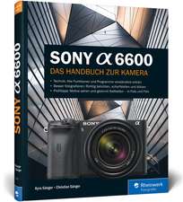 Sony Alpha 6600