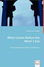 What Comes Before the Mind`s Eye