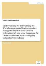 Die Bewertung Der Entwicklung Des Wirtschaftsstandorts Mexiko Von Einer Staatsgesteuerten Zu Einer Offenen Volkswirtschaft Und Seine Bedeutung Fur Deu: Pensionszusage Heute Erteilt Und Morgen Nicht Mehr Finanzierbar?