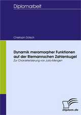 Dynamik Meromorpher Funktionen Auf Der Riemannschen Zahlenkugel