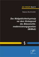 Das Ma Geblichkeitsprinzip VOR Dem Hintergrund Des Bilanzrechtsmodernisierungsgesetzes (Bilmog): Vermeidung Von Schaden Durch Mobile Schutzsysteme