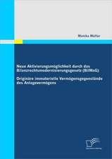 Neue Aktivierungsmoglichkeit Durch Das Bilanzrechtsmodernisierungsgesetz (Bilmog)