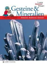 Lesen - Staunen - Wissen. Gesteine & Mineralien