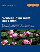 Vernebele Dir Nicht Das Leben: Innovation Im Rahmen Des Europ Ischen Sozialfonds