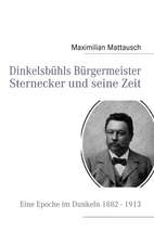 Dinkelsbuhls Burgermeister Sternecker Und Seine Zeit