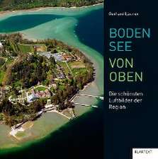 Bodensee von oben