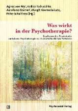 Was wirkt in der Psychotherapie?