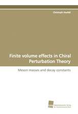 Finite Volume Effects in Chiral Perturbation Theory: A Novel Histone Lysine Mono-Methyltransferase