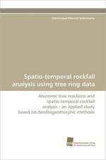 Spatio-Temporal Rockfall Analysis Using Tree Ring Data