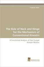 The Role of Neck and Hinge for the Mechanism of Conventional Kinesins