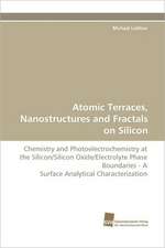 Atomic Terraces, Nanostructures and Fractals on Silicon