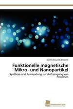 Funktionelle Magnetische Mikro- Und Nanopartikel: From Bulk to Heterostructures