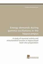 Energy Demands During Gamma Oscillations in the Hippocampus: From Bulk to Heterostructures