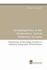 Synaptogenesis in the Mammalian Central Inhibitory Synapse