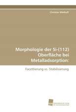 Morphologie der Si-(112) Oberfläche bei Metalladsorption: