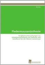 Fledermausanasthesie: A Novel Therapy to Stimulate Arteriogenesis