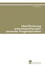 Identifizierung Ectomesenchymaler Cornealer Progenitorzellen: A Novel Therapy to Stimulate Arteriogenesis