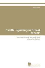 "ErbB2 signaling in breast cancer"