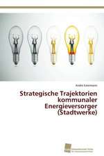 Strategische Trajektorien kommunaler Energieversorger (Stadtwerke)