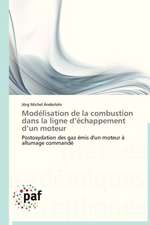 Modélisation de la combustion dans la ligne d'échappement d'un moteur