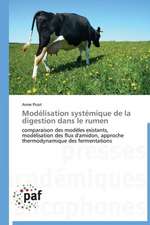 Modélisation systémique de la digestion dans le rumen