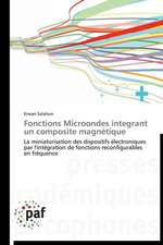 Fonctions Microondes integrant un composite magnétique