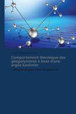 Comportement thermique des géopolymères à base d'une argile kaolinite