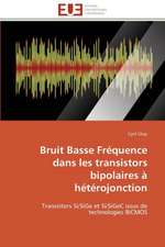 Bruit Basse Frequence Dans Les Transistors Bipolaires a Heterojonction: Enjeux Organisationnels Et Manageriaux