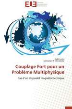 Couplage Fort Pour Un Probleme Multiphysique