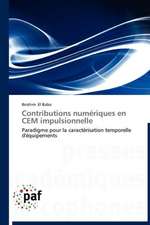 Contributions numériques en CEM impulsionnelle