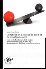 Constitution de l'état de droit et de développement