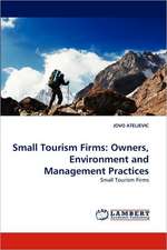 Small Tourism Firms: Owners, Environment and Management Practices