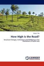 How High is the Road?