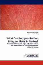 What Can Europeanization Bring to Alevis in Turkey?