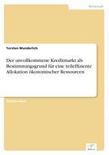 Der unvollkommene Kreditmarkt als Bestimmungsgrund für eine teileffiziente Allokation ökonomischer Ressourcen