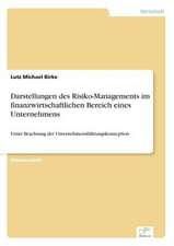 Darstellungen des Risiko-Managements im finanzwirtschaftlichen Bereich eines Unternehmens