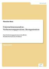 Unternehmensanalyse, Verbesserungsprozesse, Reorganisation